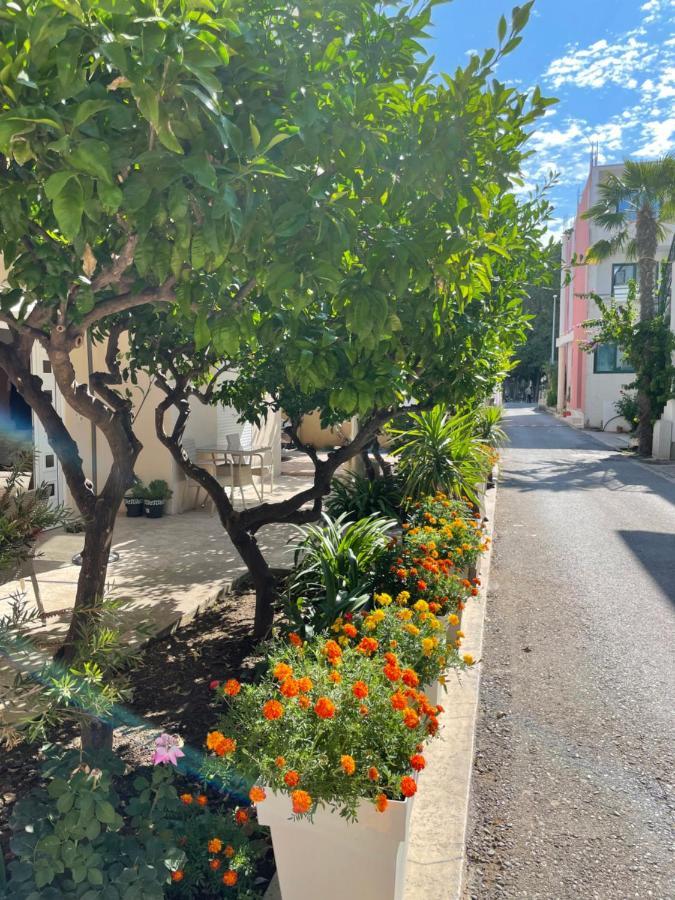 אולסינץ' Apartments Lati מראה חיצוני תמונה