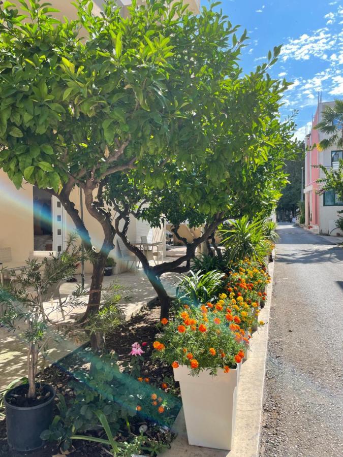 אולסינץ' Apartments Lati מראה חיצוני תמונה